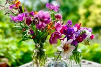 Zomerse tip: bloemen plukken!